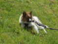 /album/orval-4-mai-2014/dsc01651-jpg/