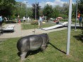 /album/estavayer-15-juin-2014/dsc01838-jpg/