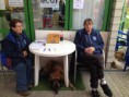/album/tournoi-des-vendanges-12-octobre-2014/img-1659-jpg/